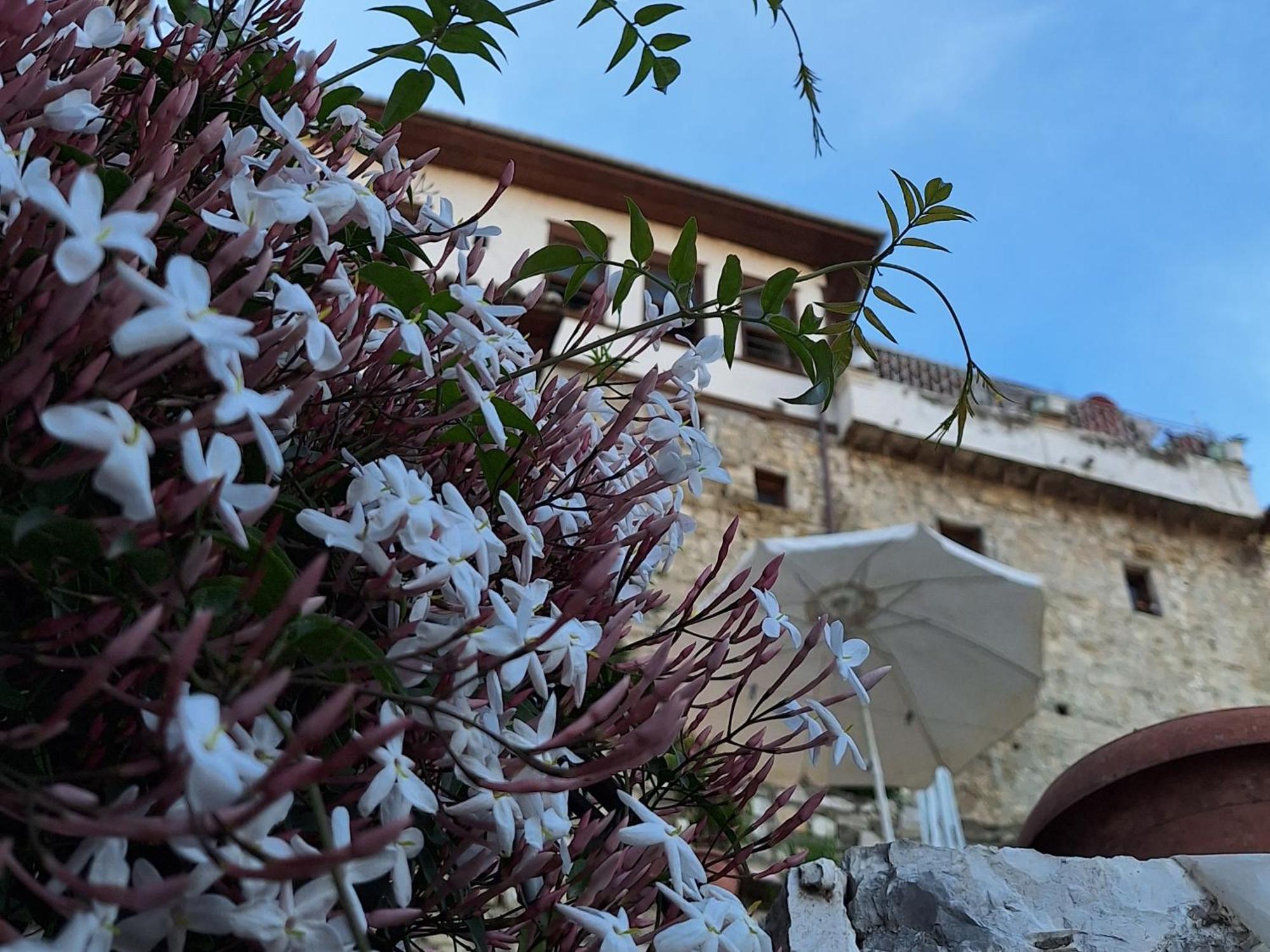 Guesthouse Alvaro Kadiu Berat Exterior photo